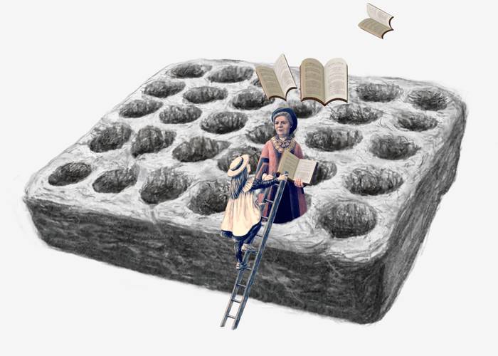 Gwenllian Morgan animations